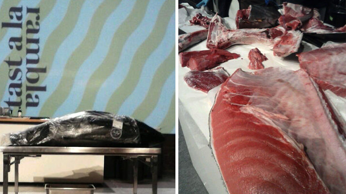 carpaccio de atún, remolacha y frutos rojos